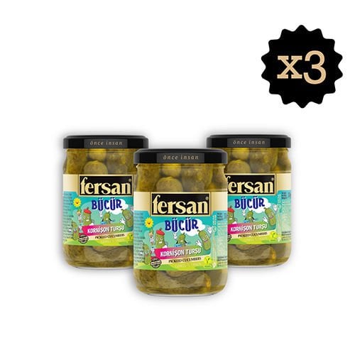 Fersan Kornişon Turşu 370 CC