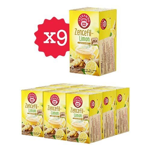 Teekanne Zencefil Limon Karışık Meyve Çayı x 9 Adet